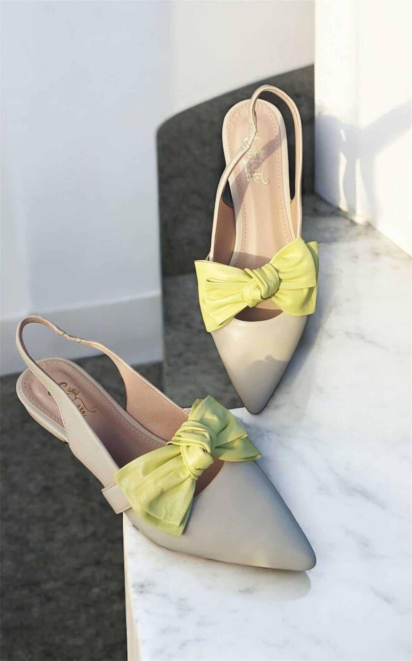 Puntillas Domenica Lima